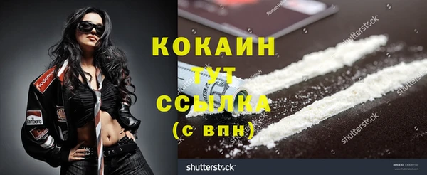 стафф Волоколамск