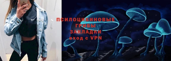ГАЛЛЮЦИНОГЕННЫЕ ГРИБЫ Володарск