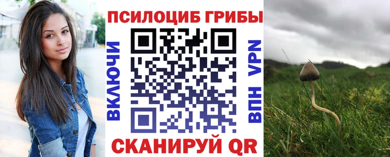 Купить где  Мышкин  Галлюциногенные грибы Cubensis 